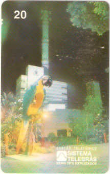 MT-001M - Arara Azul e Amarela