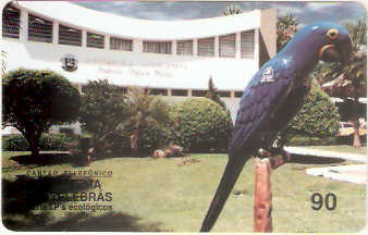 MT-003M - Arara Azul