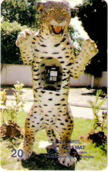 MT-008M - Onça Pintada