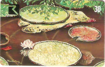 RO-045 - Artistas de Rondônia - 06/12