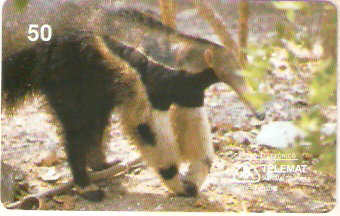 MT-033M - Tamanduá Bandeira