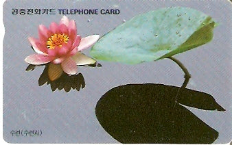 SOK-MO09602 - Flor
