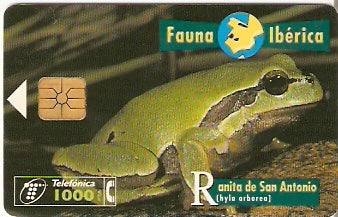 SPA-B-054 - Sapo