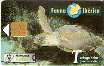 SPA-B-058 - Tartaruga - 2