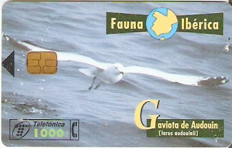 SPA-B-075 - Gaivota