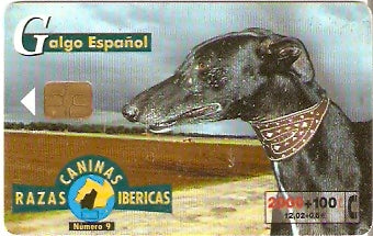 SPA-B-085 - Cachorro - 09