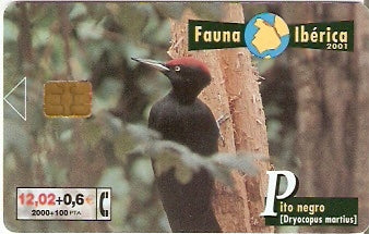 SPA-B-094 - Pica-Pau