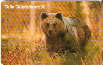 SWE-227 - Urso Marrom
