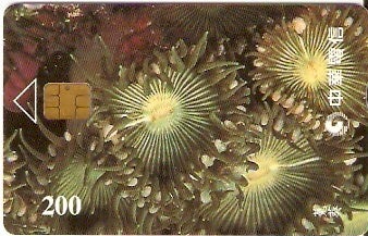 TAW-C098-13 - Benthos - 1