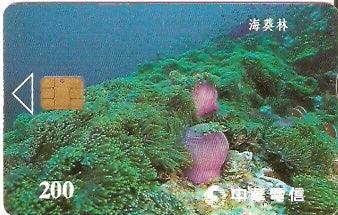 TAW-C098-12 - Benthos - 2