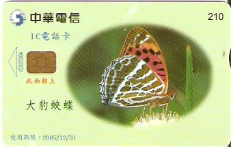 TAW-C102-04 - Borboleta
