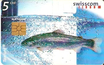 SWI-C-049 - Peixe