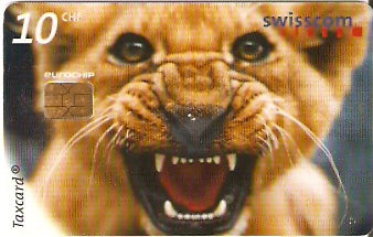 SWI-C-059 - Filhote de Leão