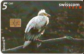 SWI-C-112 - Pássaros - 5