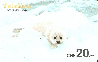 SWI-T1174 - Foca