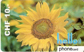 SWI-H06 - Girassol