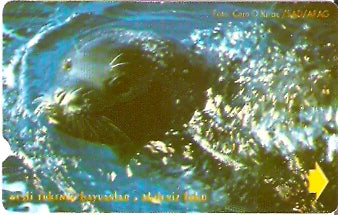 TUR-N-105 - Foca - 30