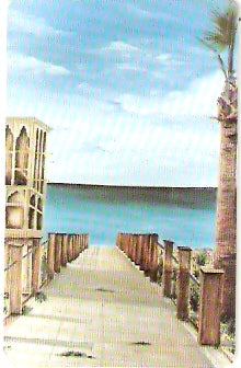 UAE-137 - Pintura