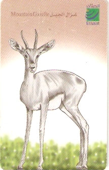 UAE-252 - Gazela da Montanha