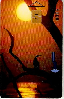 ZIM-36 - Por do Sol