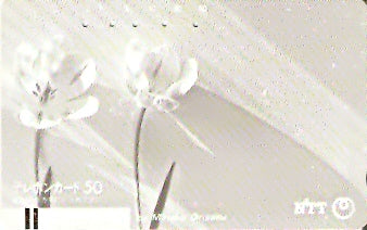JAP-310-017