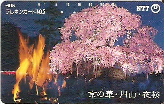 JAP-330-256