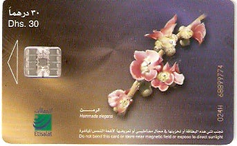 UAE-219 - Flores - 10