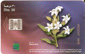 UAE-216 - Flores - 07