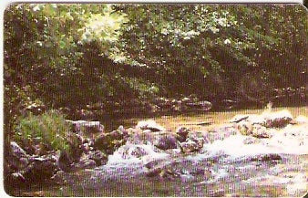 ROM-267 - Rio