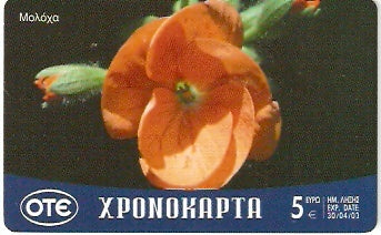 GRE-Pxr044 - Flor - Molocha