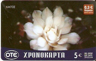 GRE-Pxr079 - Flor - Kaktos