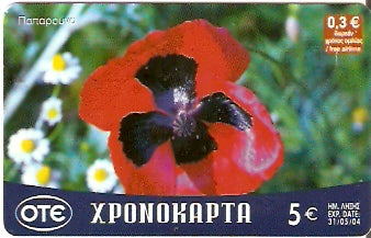 GRE-Pxr086 - Flor - Paparoyna