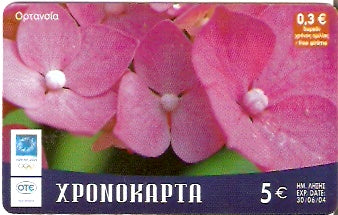GRE-Pxr091 - Flor - Ortansia
