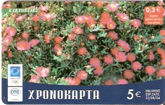 GRE-Pxr101 - Flor - Kaktoedes