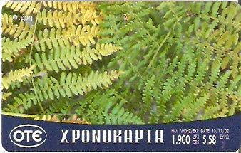 GRE-Pxr033 - Samambaias