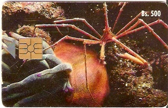 VEN-028Ba - Caranguejo Flexa