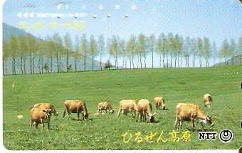 JAP-350-264