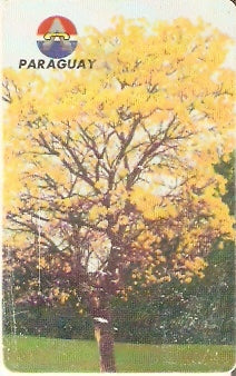 PAR-C-18 - Lapacho en Flor- 20