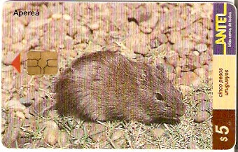 URU-C-089a - Apereá
