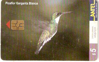 URU-C-123a - Beija-Flor