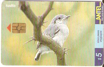 URU-C-126a - Azulito