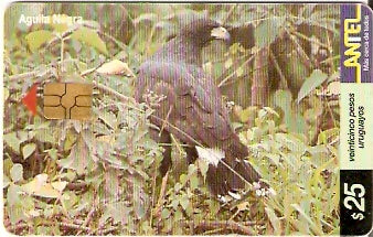 URU-C-152a - Águia Negra
