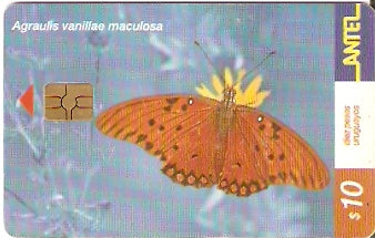 URU-C-183a - Borboleta