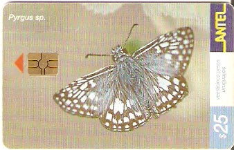 URU-C-184a - Borboleta