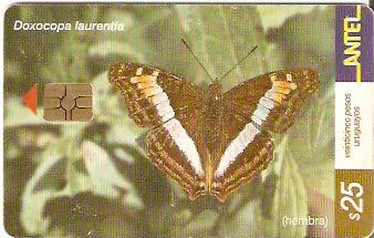 URU-C-185a - Borboleta