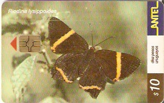 URU-C-186a - Borboleta