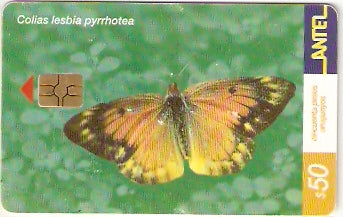 URU-C-189a - Borboleta