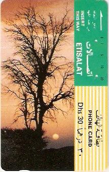 UAE-048 - Árvore ao Por do Sol