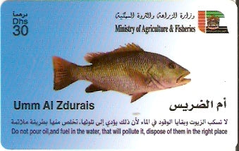 UAE-P-109 - Peixe - Umm Al Zdurais