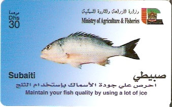 UAE-P-114 - Peixe - Subaiti